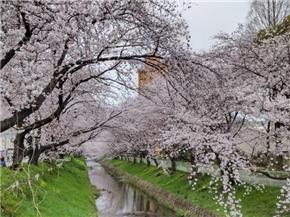 黒川／御用水跡街園