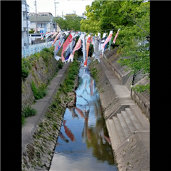 山崎川で撮影された昭和区ショウちゃん賞受賞作品