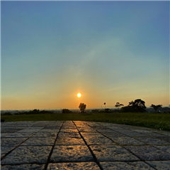 滝の水公園で撮影された緑区みどりっち賞受賞作品