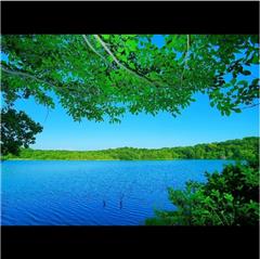 小幡緑地で撮影された入賞受賞作品