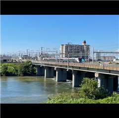 枇杷島町の庄内川河川敷で撮影されたハッチー賞受賞作品