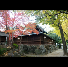 六所神社で撮影された西区役所特別賞受賞作品