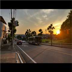 猪高緑地で撮影されたハッチー賞受賞作品