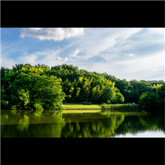 明徳池で撮影された優秀賞受賞作品