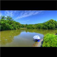 明徳池で撮影された名東区役所特別賞受賞作品