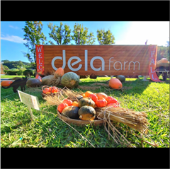 市バス沿線フォトコンテスト天白区編の入賞作品の画像です