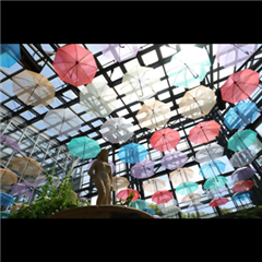 市バス沿線フォトコンテスト港区編の入賞作品の画像です