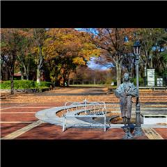 市バス沿線フォトコンテスト熱田区編の入賞作品の画像です