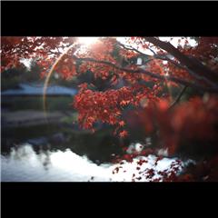 市バス沿線フォトコンテスト熱田区編の港区特別賞作品の画像です