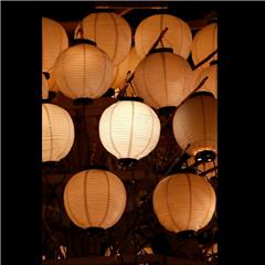 市バス沿線フォトコンテスト熱田区編のハッチー賞作品の画像です