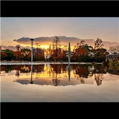 市バス沿線フォトコンテスト熱田区編の優秀賞作品の画像です