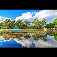 市バス沿線フォトコンテスト中川区編の最優秀賞作品の画像です