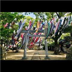 市バス沿線フォトコンテスト中川区編の入賞作品の画像です
